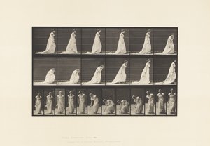 Plaat 209. Bukken en een zakdoek optillen, 1885