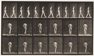 Plaat 21. Lopen, beide ellebogen gebogen door Eadweard Muybridge