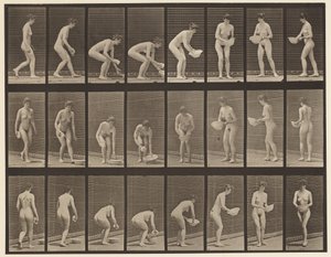 Bukken en Bekken Optillen, Afvegen en Draaien door Eadweard Muybridge