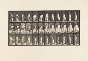 Plaat 229. Mand op de grond plaatsen en omdraaien door Eadweard Muybridge