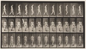 Plaat 22. Wandelen, met hoge hakken aan, 1872-1885 door Eadweard Muybridge