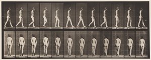 Plaat 25. Lopen met Hoge Hakken Aan door Eadweard Muybridge
