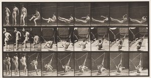 In een Hangmat Gaan, 1872-1885 door Eadweard Muybridge