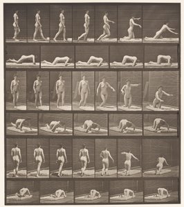 Plaat 272. Struikelen en Vallen op de Grond door Eadweard Muybridge
