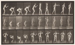 Plaat 304. Een Bal Oppakken en Gooien door Eadweard Muybridge