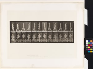 Plaat 30. Lopen, emmer water in elke hand dragen door Eadweard Muybridge