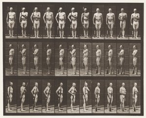 Plaat 354. Wapen Draag, Parade Rust, en Wapen Sleep door Eadweard Muybridge
