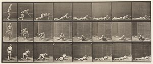 Plaat 357. Liggend en Vuren door Eadweard Muybridge