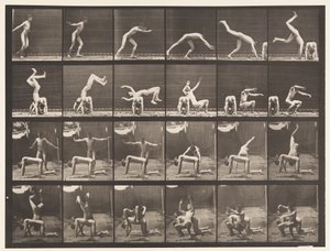 Plaat 364. Handstand over Rug van Man door Eadweard Muybridge