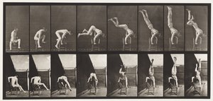Plaat 373. Acrobat, Opdruk Vanaf Stoel door Eadweard Muybridge