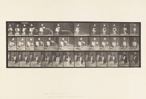 Plaat 404. Emmer water legen, 1885 door Eadweard Muybridge