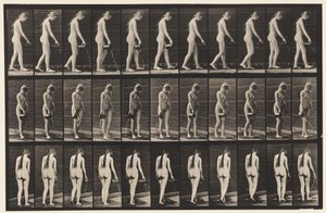 Plaat 42. Wandelen, water uit een kruik gieten door Eadweard Muybridge