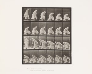 Emmer neerzetten en voorbereiden om te schrobben door Eadweard Muybridge