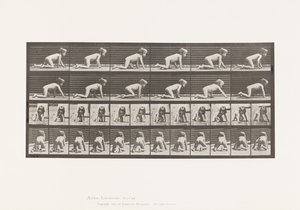 Plaat 471. Kind, kruipen op handen en knieën, 1885 door Eadweard Muybridge