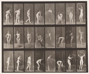 Hooien en inpakken door Eadweard Muybridge