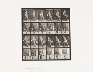 Plaat 49. Lopen en Snel Omdraaien door Eadweard Muybridge