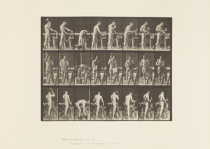 Plaat 507. Timmerwerk door Eadweard Muybridge