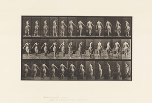 Plaat 50. Lopen, een emmer dragen door Eadweard Muybridge