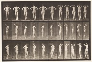 Plaat 531. Verschillende Houdingen door Eadweard Muybridge