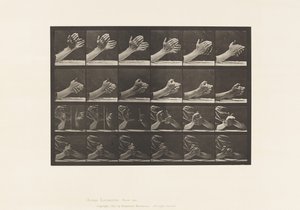 Beweging van de Hand; Handen Vouwen, 1885