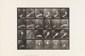 Beweging van de Hand; Tijd Slaan