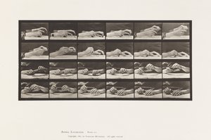 Plaat 536. Beweging van de Hand; Handen Wisselen Potlood door Eadweard Muybridge