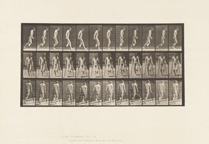 Plaat 537. Enkelvoudige Amputatie van Been; Hinkend met Krukken door Eadweard Muybridge