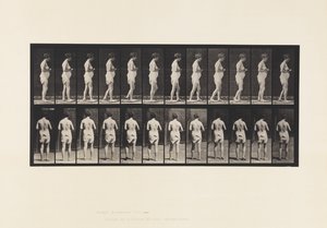 Plaat 542. Meervoudige Cerebro-Spinale Sclerose - Lopen door Eadweard Muybridge