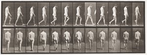 Epilepsie; lopen