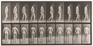 Na hoofdtrauma; lopen door Eadweard Muybridge