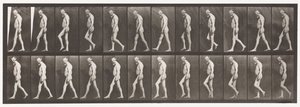 Plaat 555. Spieratrofie van benen; volwassene, A,B, lopen, 1885 door Eadweard Muybridge