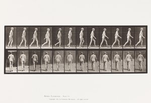 Plaat 562. Laterale Kromming van de Ruggengraat; Wandelen door Eadweard Muybridge