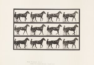 Lopen; Sulky; Bruin Paard Reuben, 1885 door Eadweard Muybridge
