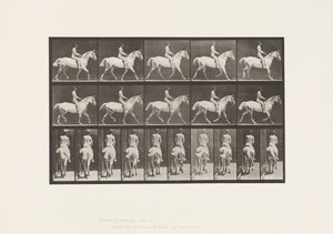 Plaat 603. Draven; Zadel; Rit, 43, Breed, Lichtgrijs Paard Smith door Eadweard Muybridge