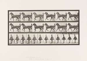 Plaat 612. Draven; Sulky; Bruin Paard, Dereumd door Eadweard Muybridge
