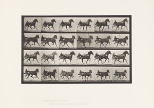 Plaat 613. Draven; Sulky; Vosmerrie Nellie Rose door Eadweard Muybridge