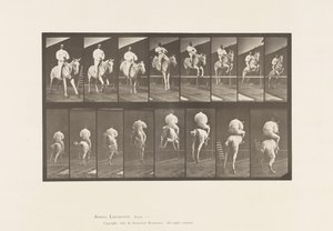 Plaat 644. Over een hindernis springen; Zadel; Oversteken en landen door Eadweard Muybridge