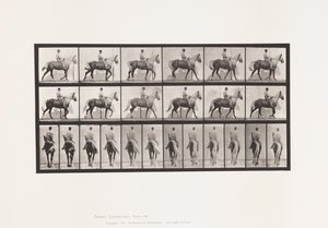 Plaat 653. Lopen; Zadel; Kreupel, Rechter Voorpoot; Paard-Buckskin door Eadweard Muybridge