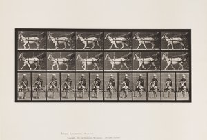 Plaat 678. Geit; Draven, in Sulky door Eadweard Muybridge