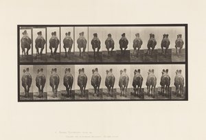 Plaat 741. Bactrische Kameel; A, Lopen; B, Draf door Eadweard Muybridge