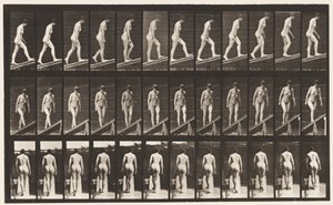 Plaat 76. Helling Beklimmen door Eadweard Muybridge
