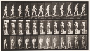 Plaat 77. Helling beklimmen door Eadweard Muybridge