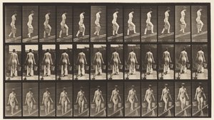 Helling oplopen, emmer water in elke hand door Eadweard Muybridge