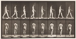 Lopen door Eadweard Muybridge