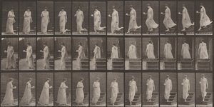  door Eadweard Muybridge