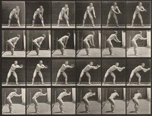 Plaat nummer 280. Honkbal, vangen door Eadweard Muybridge