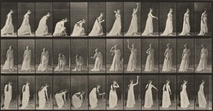 door Eadweard Muybridge