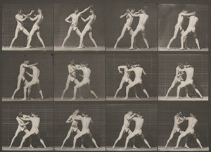 Plaat nummer 340. Boksen, open hand door Eadweard Muybridge