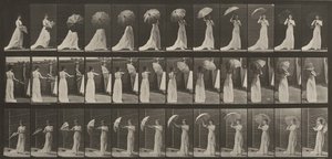  door Eadweard Muybridge