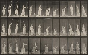 Plaat nummer 463. Zich uitstrekken, bukken en omdraaien door Eadweard Muybridge